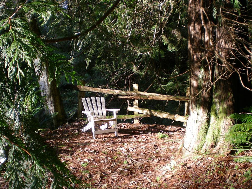 Bed and Breakfast Davis Brook Retreat à Sechelt Extérieur photo