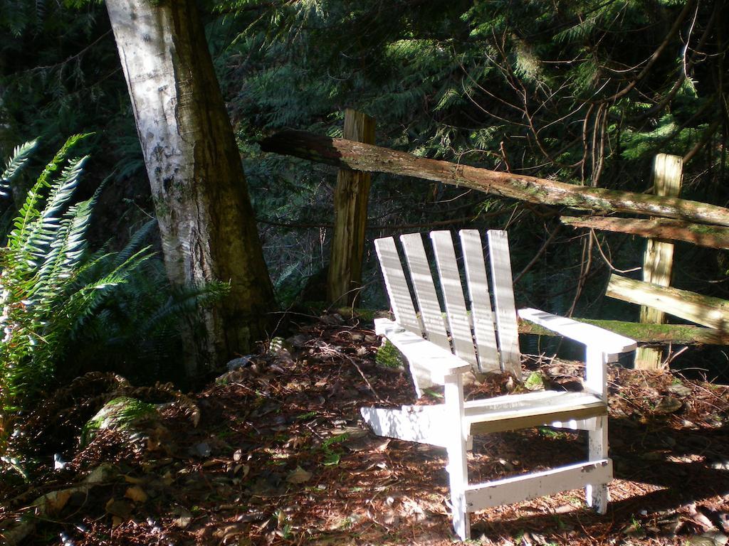 Bed and Breakfast Davis Brook Retreat à Sechelt Extérieur photo