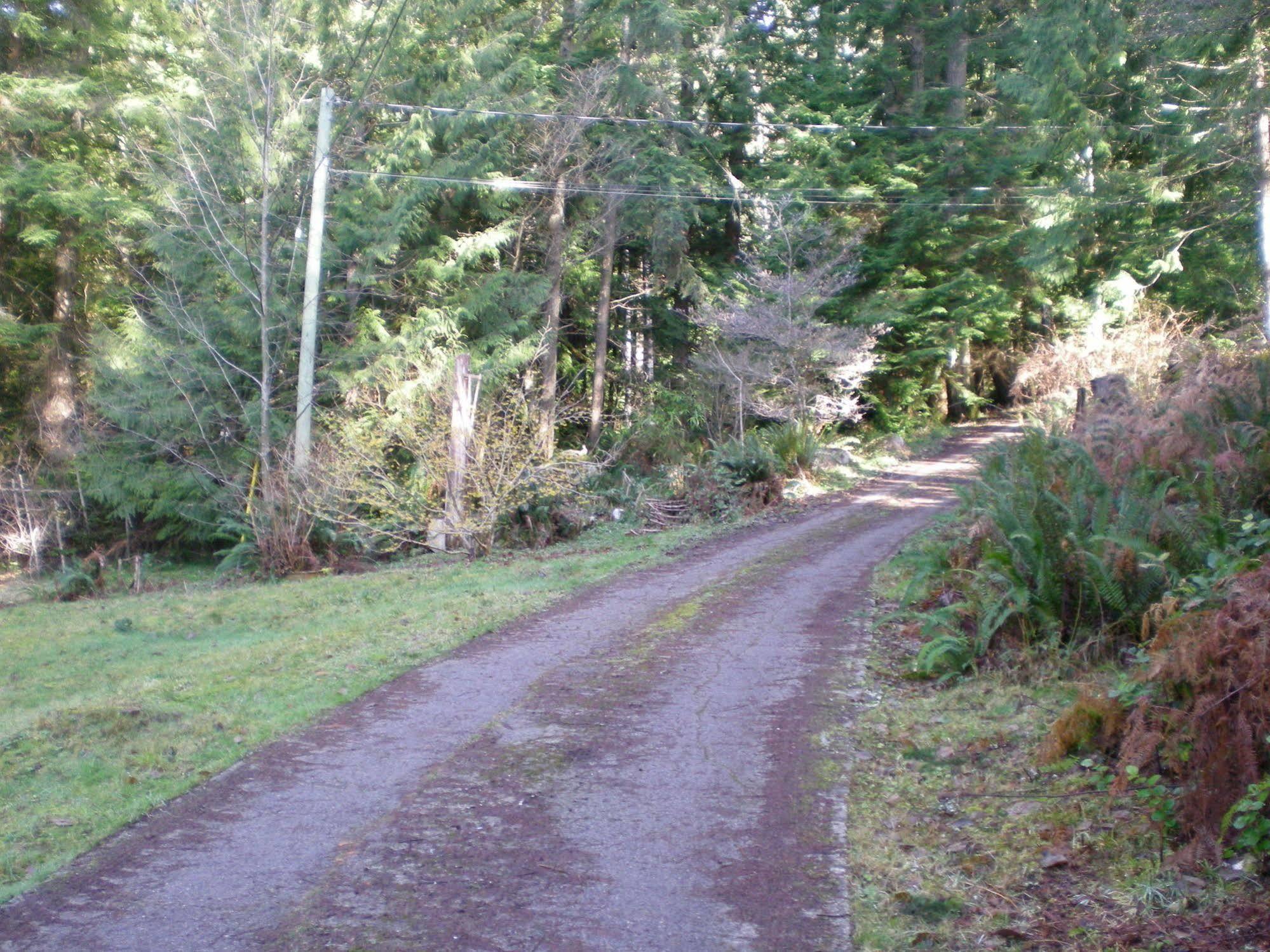 Bed and Breakfast Davis Brook Retreat à Sechelt Extérieur photo